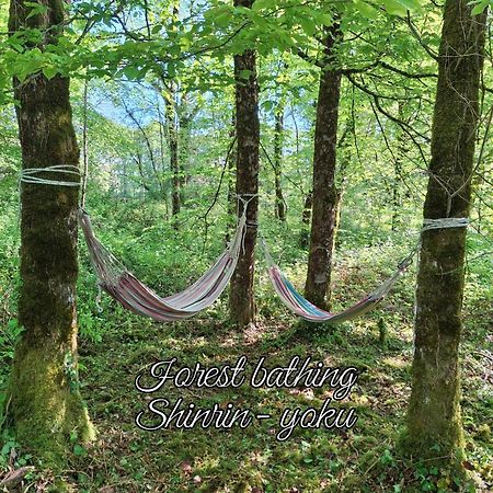 Serenite Verte A La Tuilerie Accommodation La Bazeuge Dış mekan fotoğraf