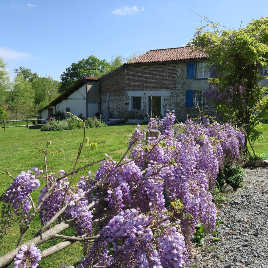 Serenite Verte A La Tuilerie Accommodation La Bazeuge Dış mekan fotoğraf