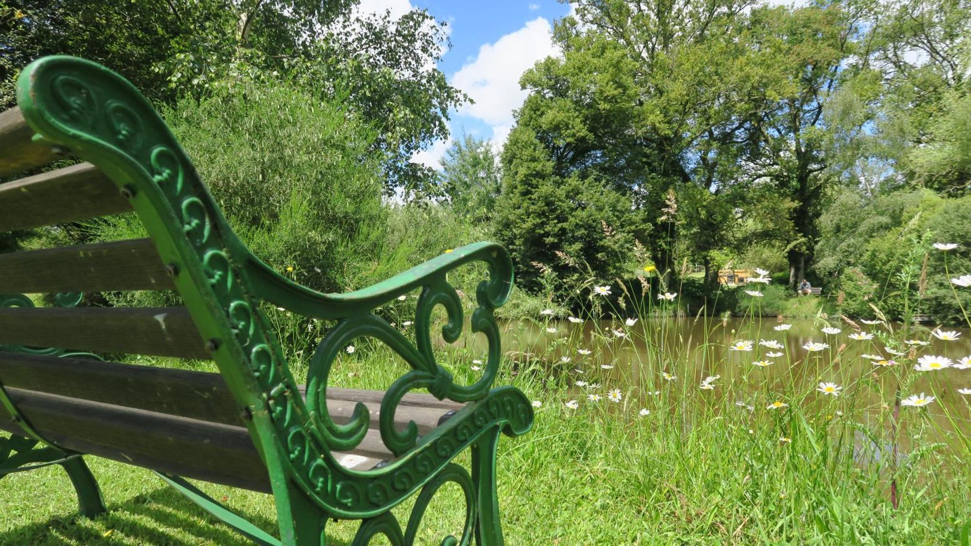 Serenite Verte A La Tuilerie Accommodation La Bazeuge Dış mekan fotoğraf