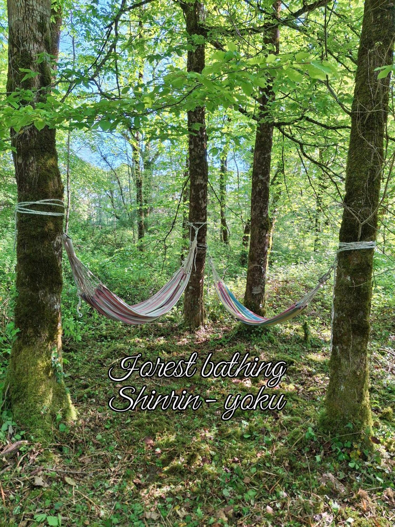 Serenite Verte A La Tuilerie Accommodation La Bazeuge Dış mekan fotoğraf